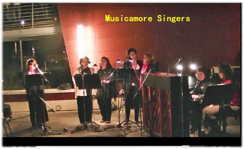 musicamore-singer-al-parco